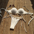 Solid Color Shell Petal Hard Bag Sexy Split Swimwear Swimsuit Bikini