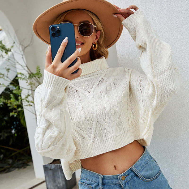 Autumn Winter Solid Color Turtleneck Pullover Knitwear Short Twisted Loose Knitted Sweater Bella Mia
