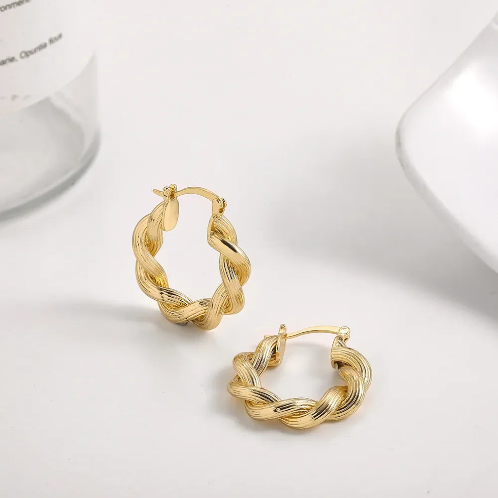 New Trendy Geometric Twisted Thick Hoop Earrings Fashion Gold Color Big Round Circle Earrings for Women Punk Hiphop Jewelry Gift LUXLIFE BRANDS