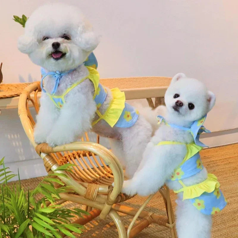 Palm Beach Pup Swimsuit Luxlife Brands