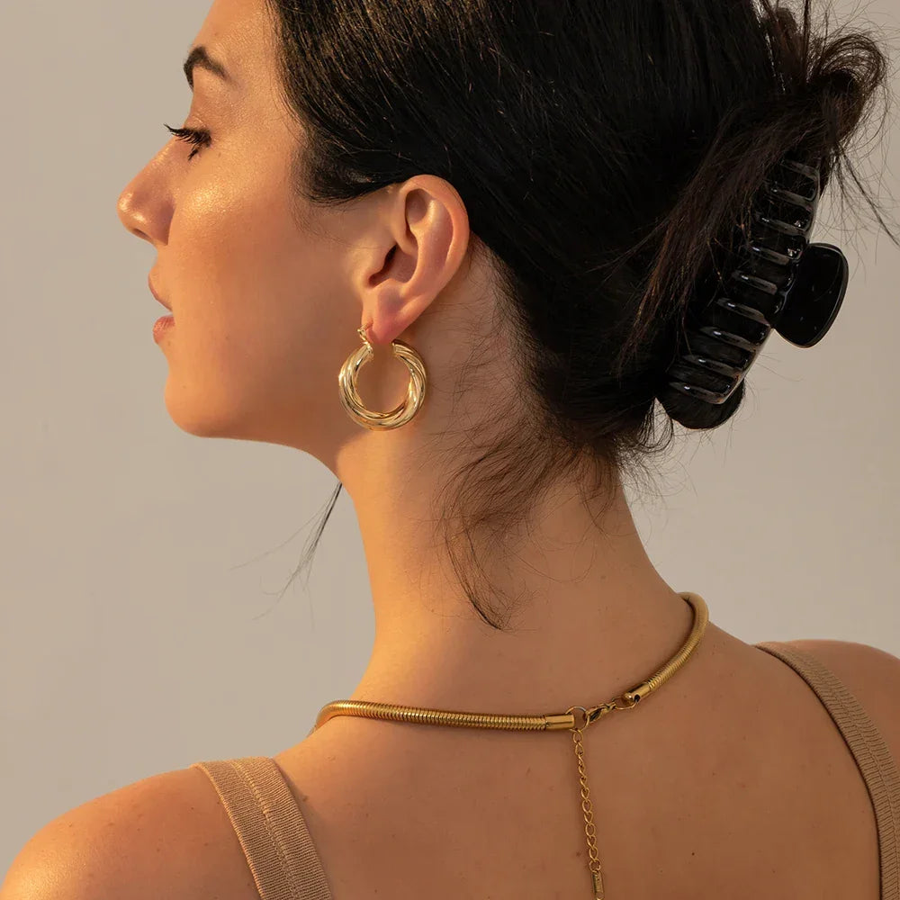 New Trendy Geometric Twisted Thick Hoop Earrings Fashion Gold Color Big Round Circle Earrings for Women Punk Hiphop Jewelry Gift LUXLIFE BRANDS