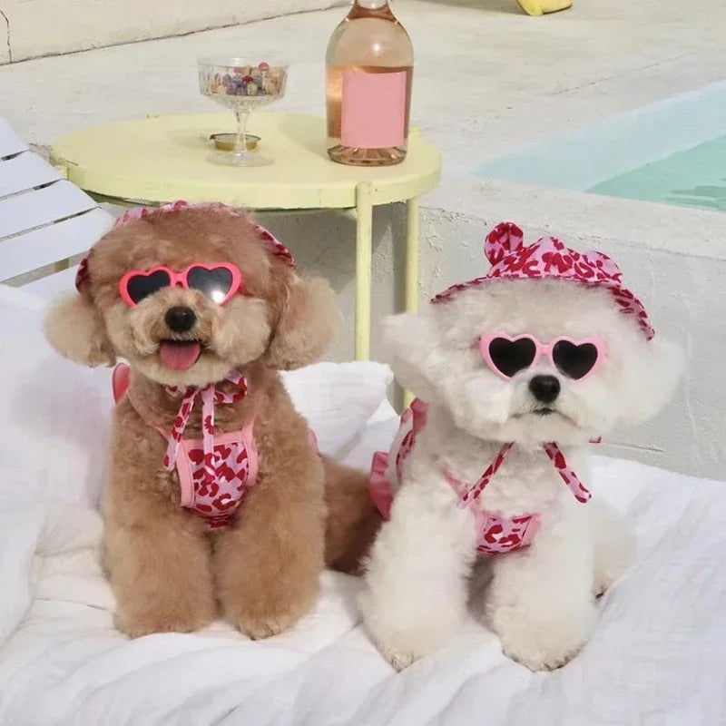 Palm Beach Pup Swimsuit Luxlife Brands