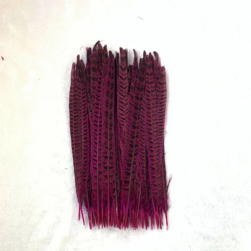 Natural Female Pheasant Tail Feathers (100PCS)