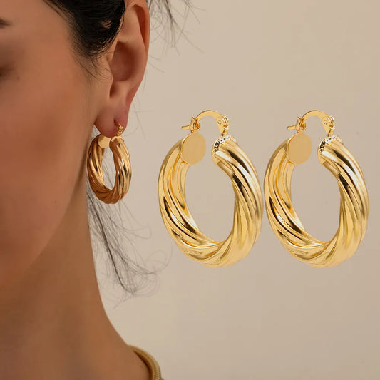 New Trendy Geometric Twisted Thick Hoop Earrings Fashion Gold Color Big Round Circle Earrings for Women Punk Hiphop Jewelry Gift LUXLIFE BRANDS