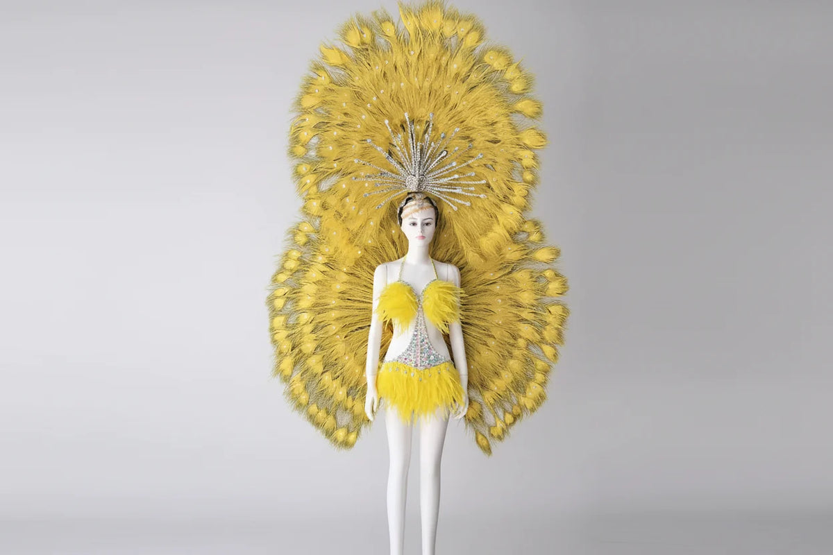 Showgirl Feather Backpiece with Rhinestone Burst Headdress Costume Set