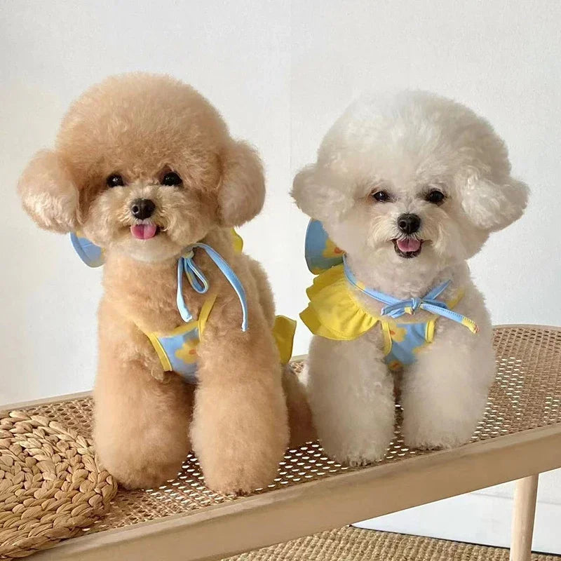 Palm Beach Pup Swimsuit