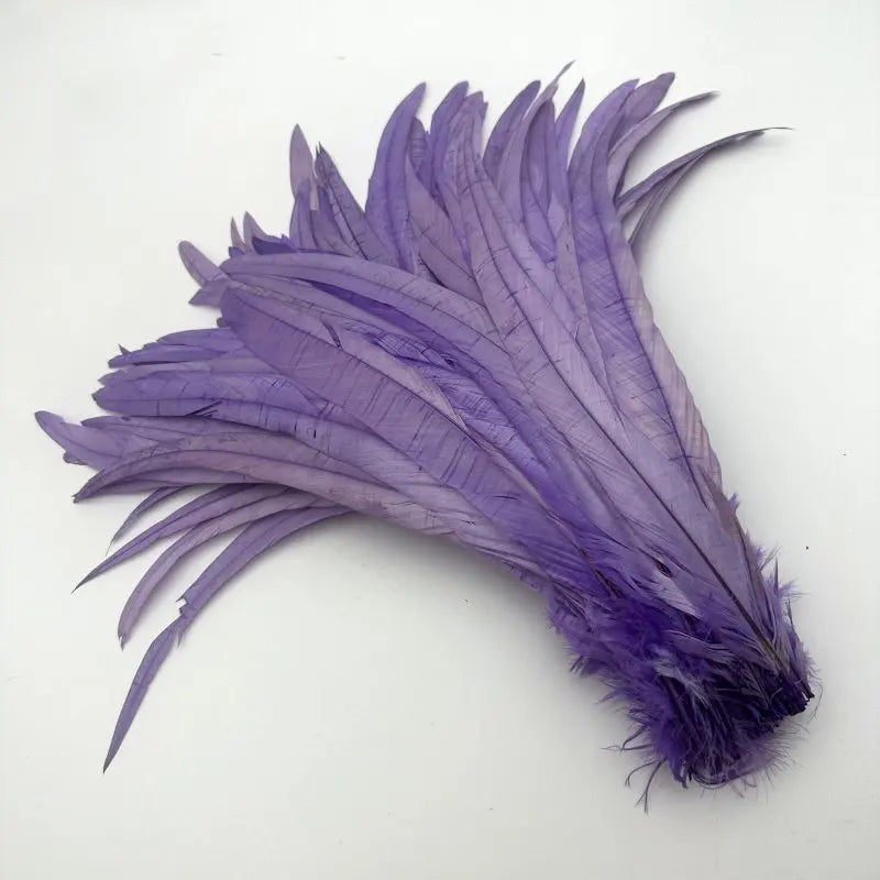 50PCS Two-Tone Rooster Tail Feathers (35-40CM)