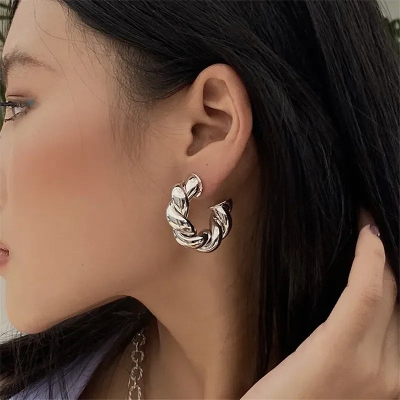 Trendy Circle Twists Hoop Earring for Women Simple Temperament Hyperbole Gold Color Ear Daily Wear Jewelry Party Gifts LUXLIFE BRANDS