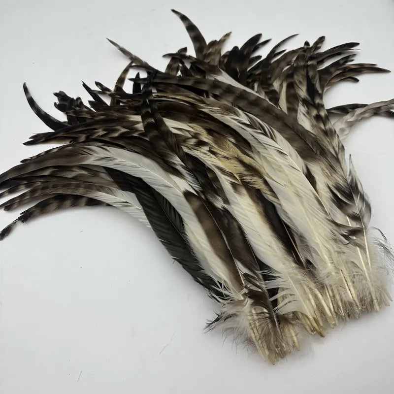 100PCS Natural Barred Rooster Tail Feathers (15-45CM)
