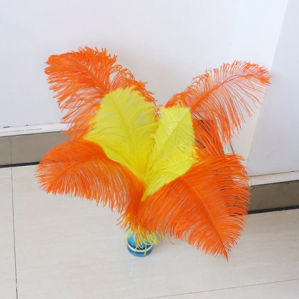 10PC Two-Tone Decorative Feather Plumes