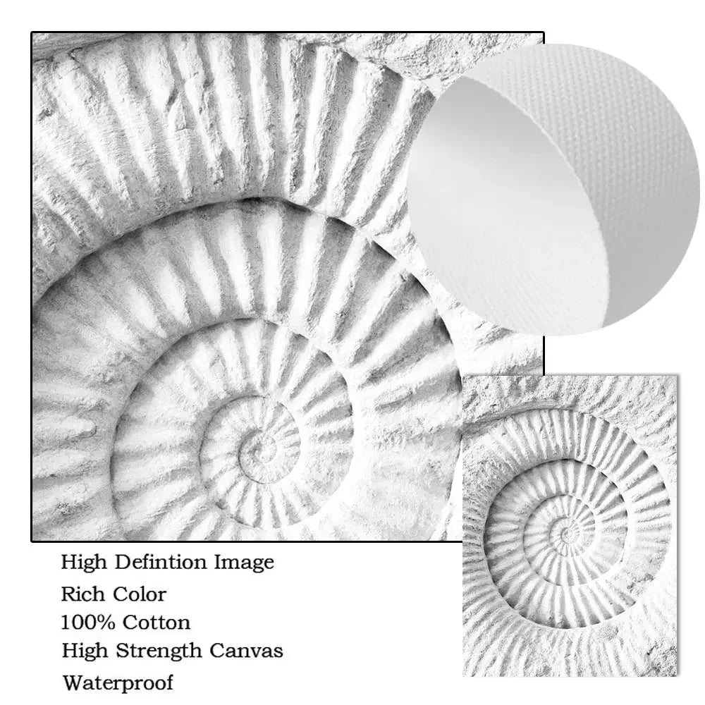 Sea Beach Waves Canvas Poster Black And White Wall Paintings Coconut Tree Art Prints Shell Starfish Print Pictures Bedroom Decor