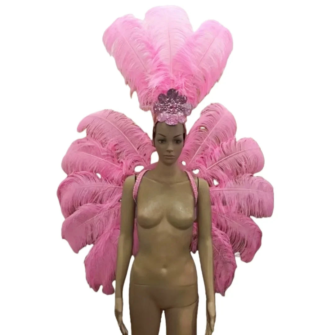 Feather Backpiece and Plume Headdress Set