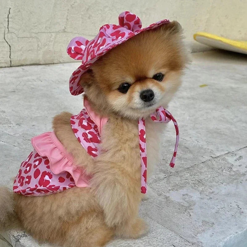 Palm Beach Pup Swimsuit Luxlife Brands