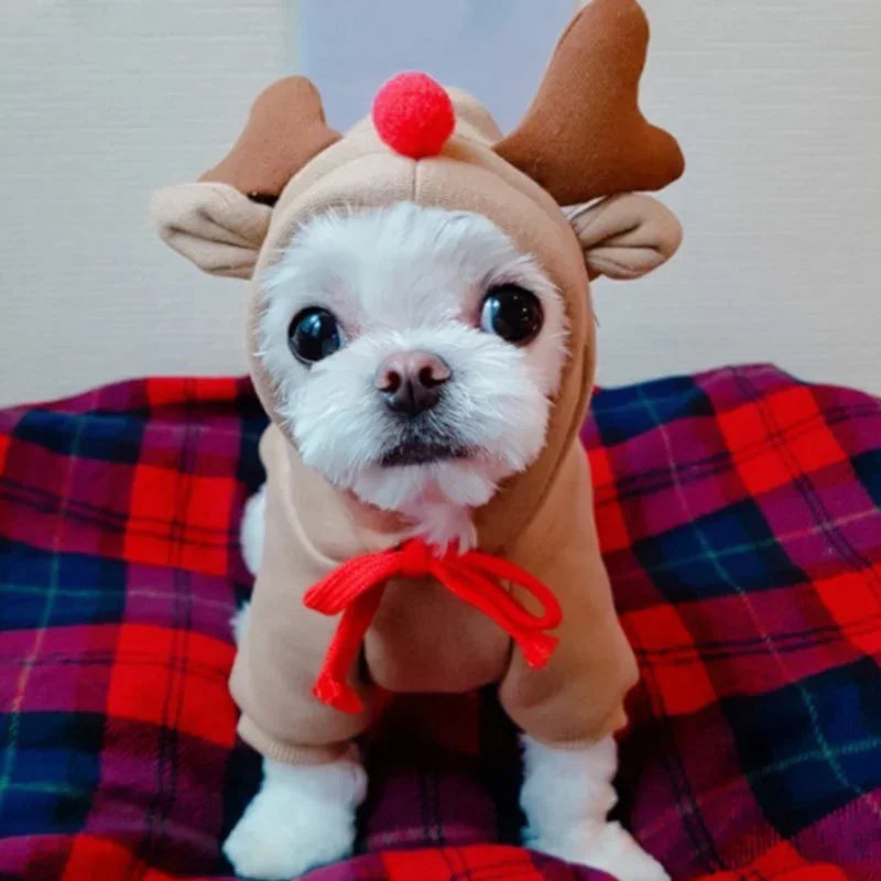 Christmas Pet Clothes LUXLIFE BRANDS