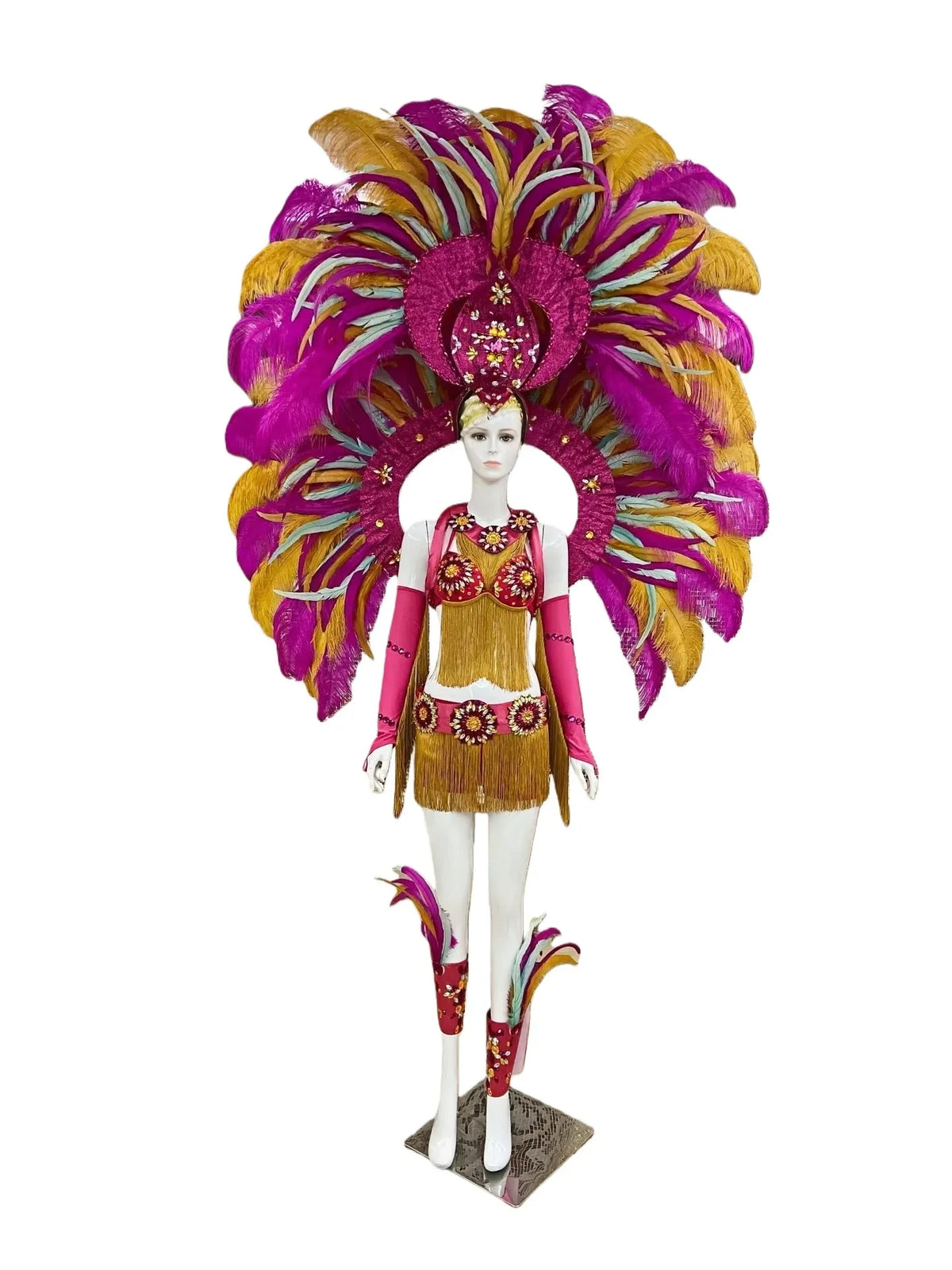 Regal Feathered Backpiece and Rhinestone Costume Set