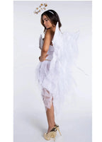 Sexy Deluxe Dark Night Demon Angel Cosplay Costume Halloween Masquerade Party Devil Fallen Angel Fantasia Dress Luxlife Brands