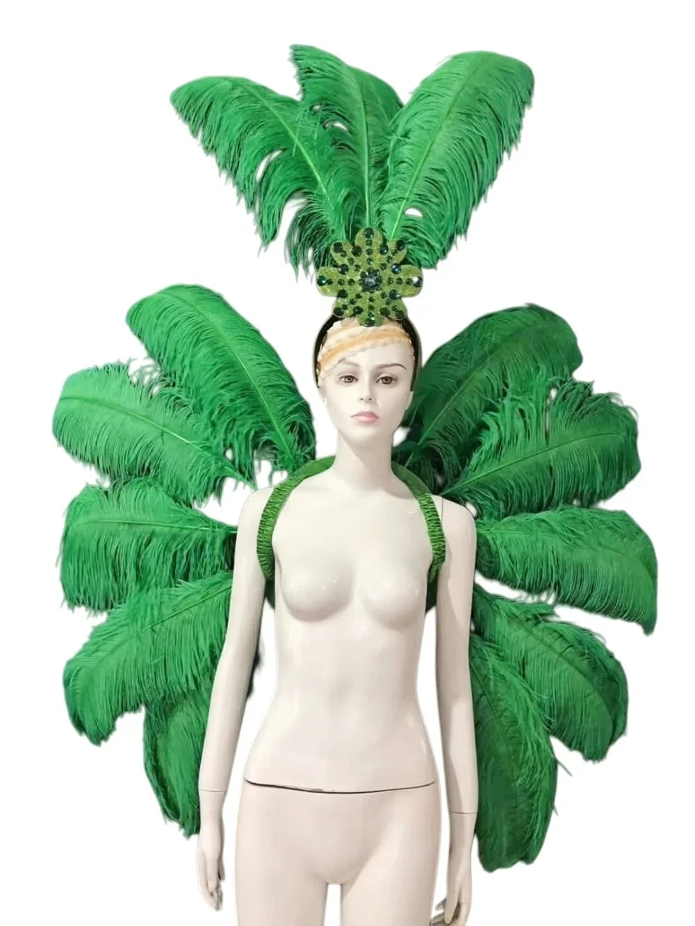 Feather Backpiece and Plume Headdress Set
