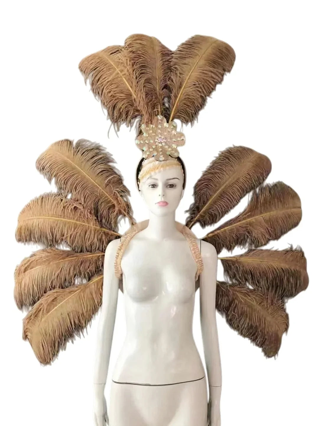 Feather Backpiece and Plume Headdress Set