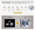 LUX FINE JEWELRY | Moissanite Round Cut 0.8ct D Color VVS1 925 SS Engagement Ring Luxlife Brands