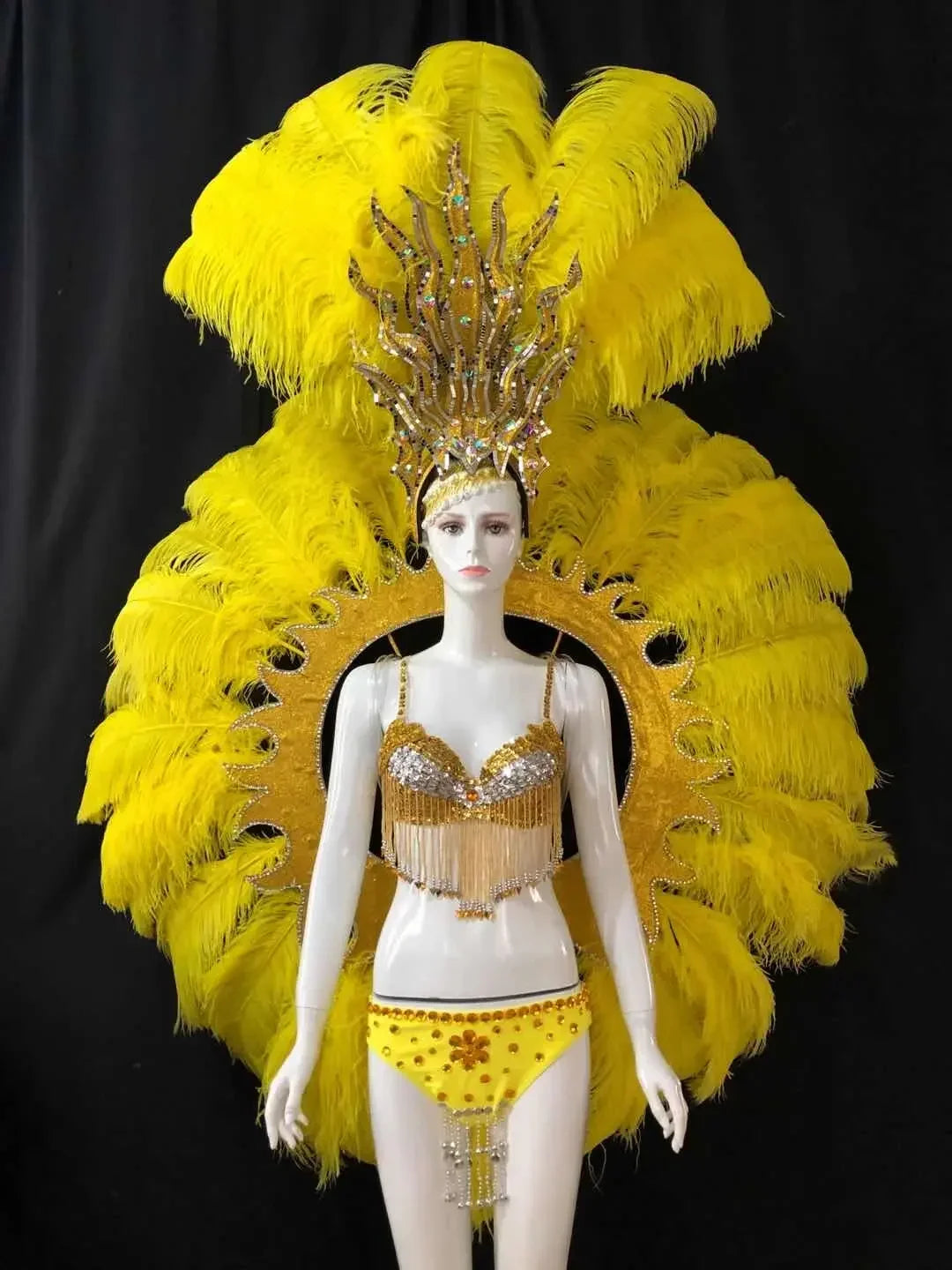Feathered Carnival Headdress and Backpack Wing Set