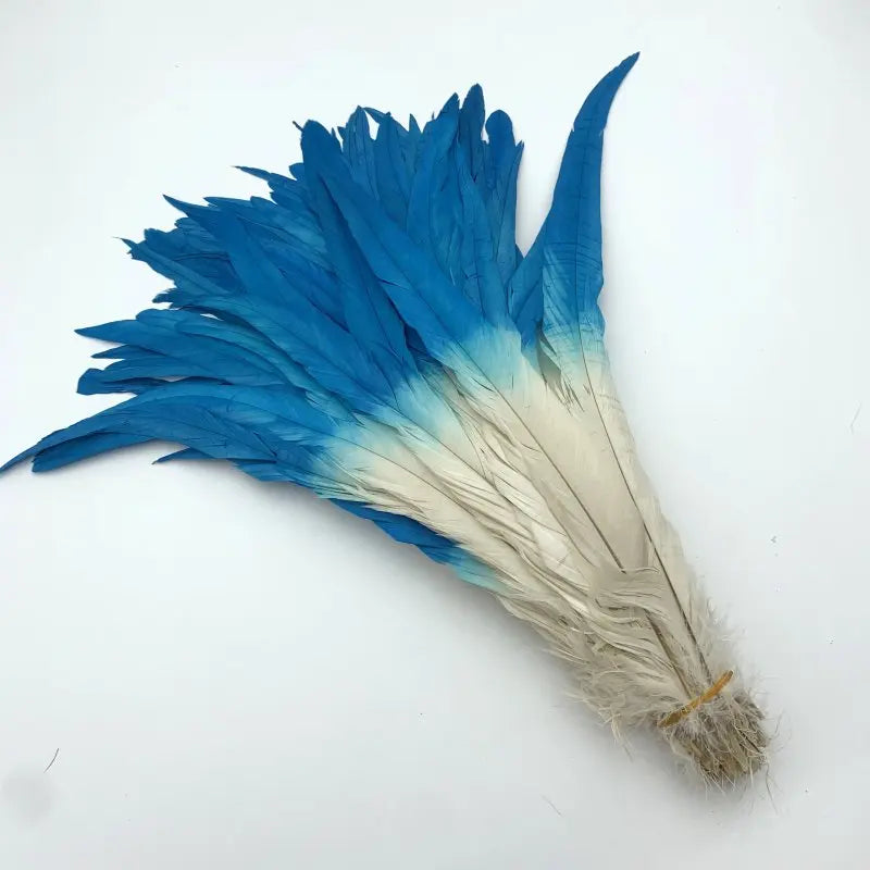 50PCS Two-Tone Rooster Tail Feathers (35-40CM)