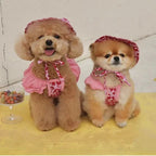 Palm Beach Pup Swimsuit Luxlife Brands