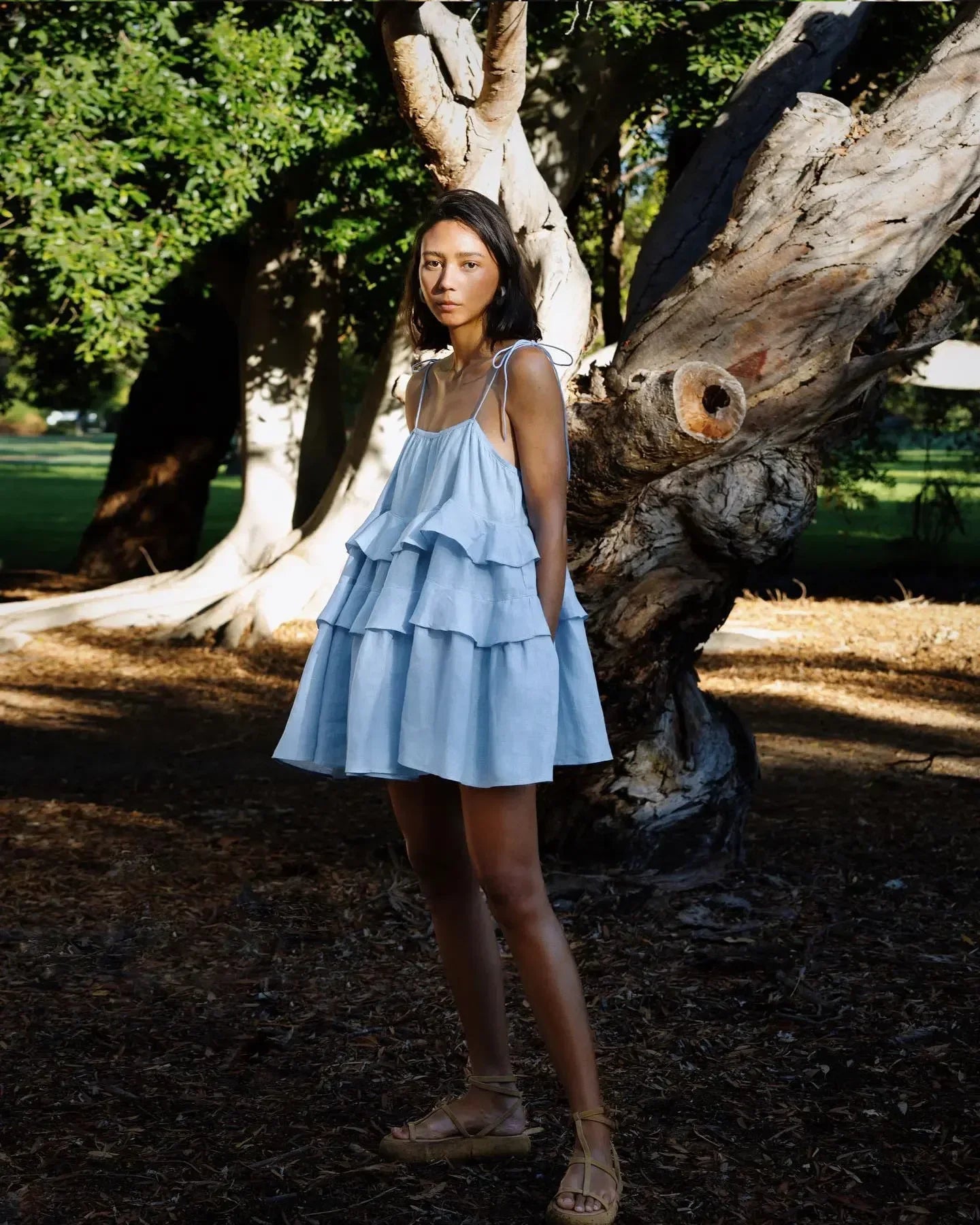 Palm Beach Cotton Beach Dress Luxlife Brands