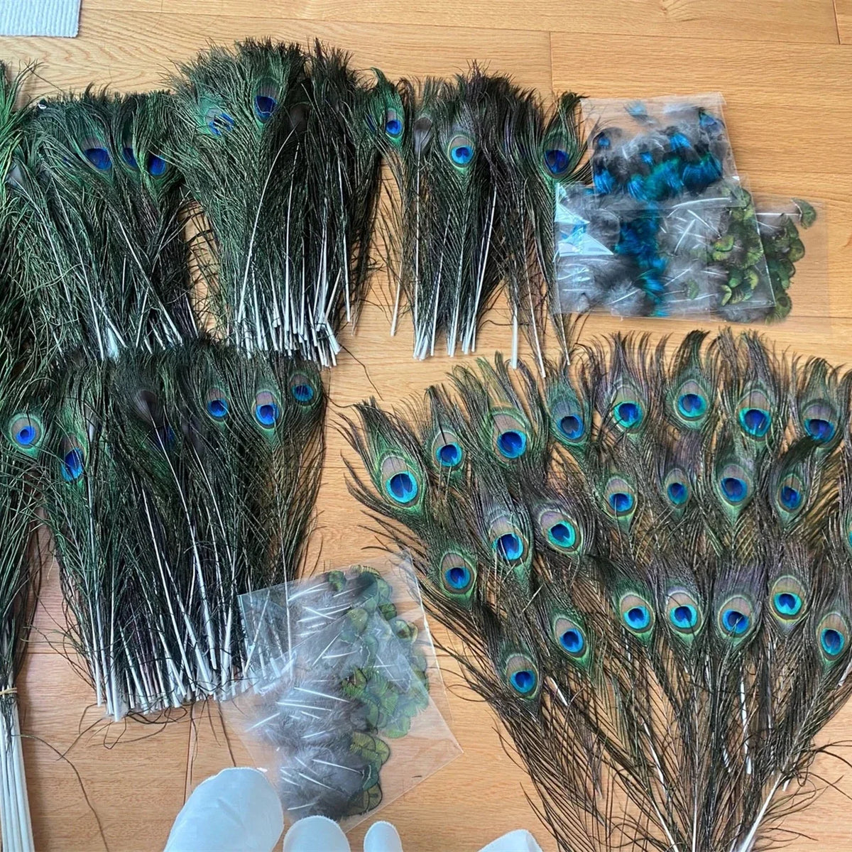 Wholesale Real Peacock Feathers (50-100/lot)