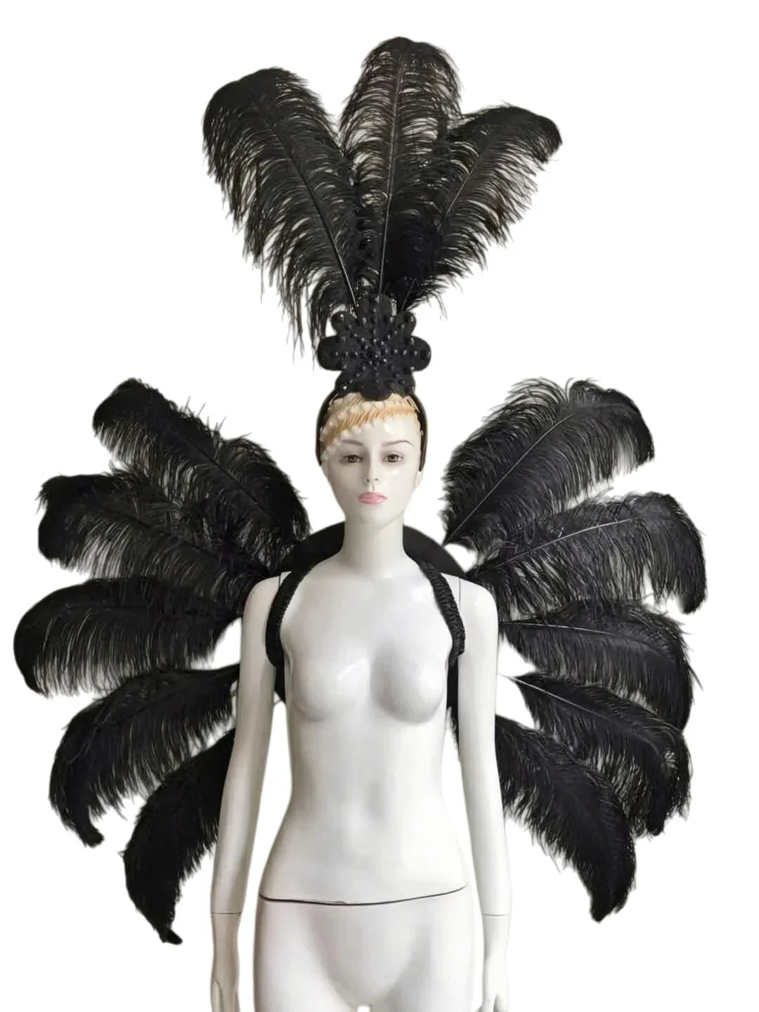 Feather Backpiece and Plume Headdress Set