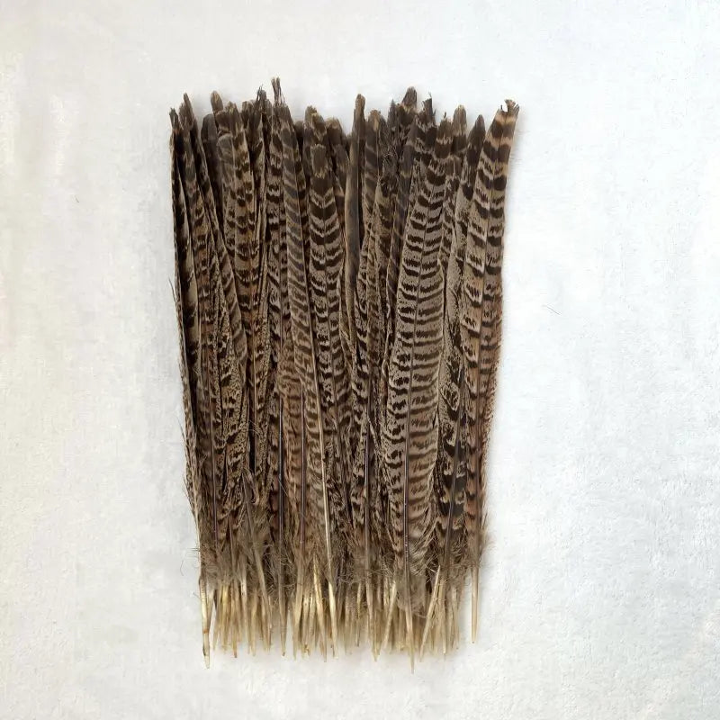 Natural Female Pheasant Tail Feathers (100PCS)