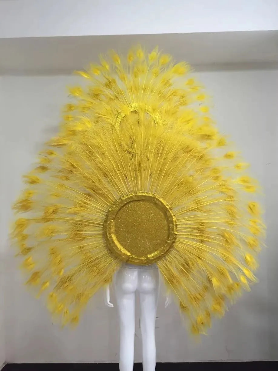 Showgirl Feather Backpiece and Rhinestone Headdress Set