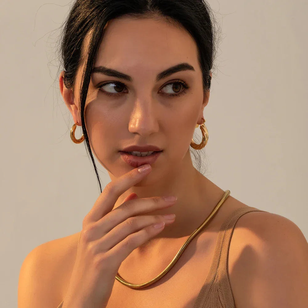 New Trendy Geometric Twisted Thick Hoop Earrings Fashion Gold Color Big Round Circle Earrings for Women Punk Hiphop Jewelry Gift LUXLIFE BRANDS