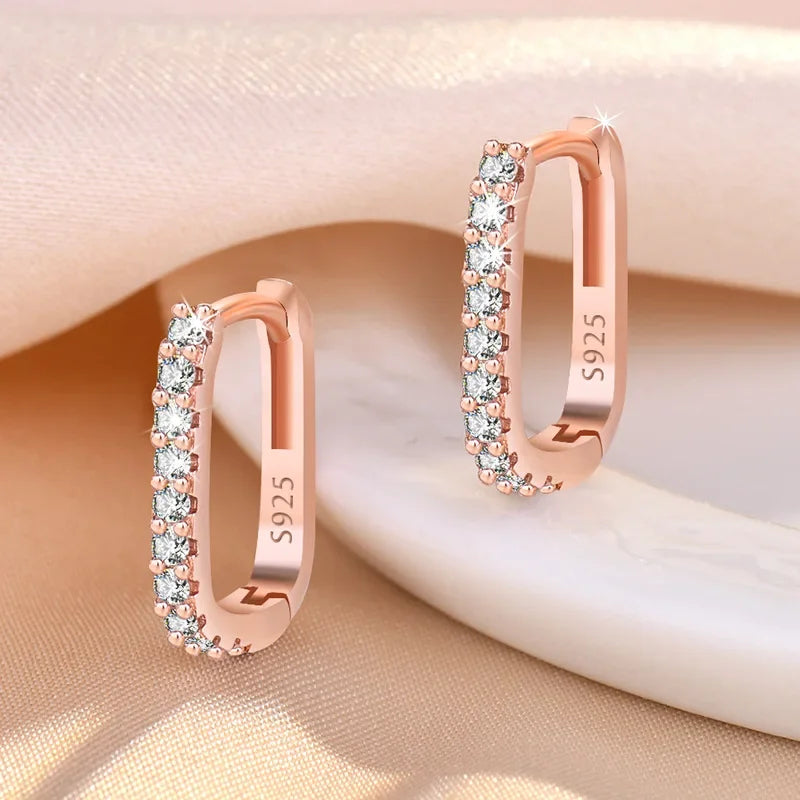 Destiny 925 SS Zircon Hoop Earrings LUXLIFE BRANDS