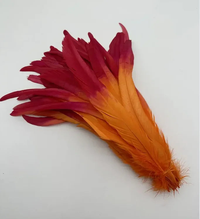 50PCS Two-Tone Rooster Tail Feathers (35-40CM)