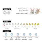 ATTAGEMS S925 Sterling Silver Moissanite Diamond Earrings Enamel Design Rabbit Shape For Women Girls Birthday Gifts Fine Jewelry Luxlife Brands