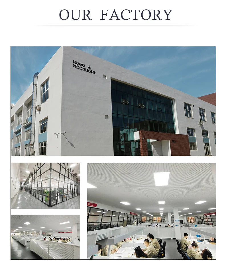 Double Snake Head Cuff Bangles Braided Leather