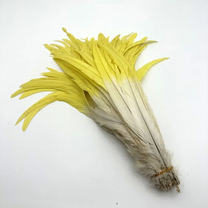 50PCS Two-Tone Rooster Tail Feathers (35-40CM)
