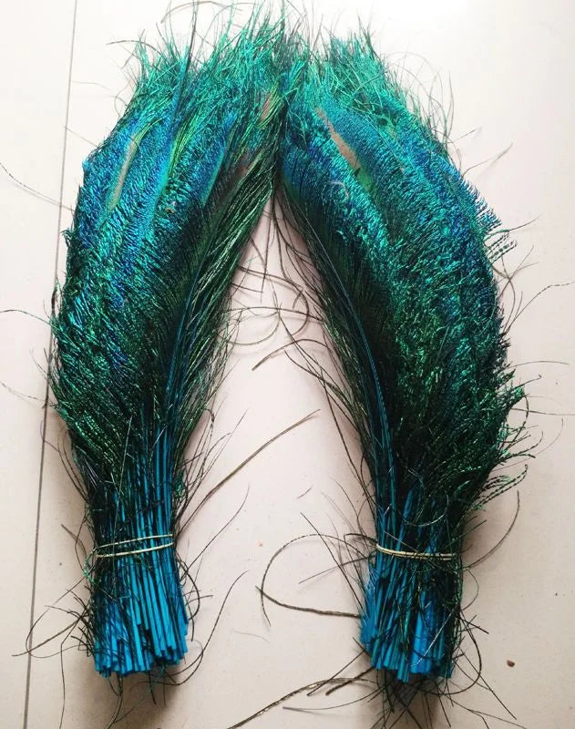 Wholesale Real Peacock Feathers (50-100/lot)