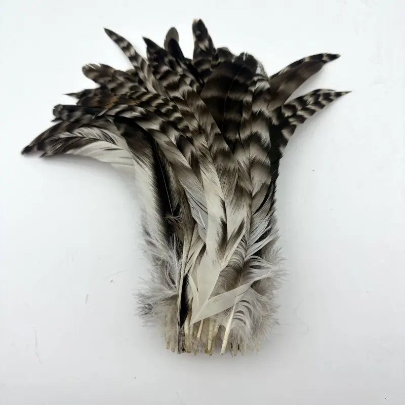 100PCS Natural Barred Rooster Tail Feathers (15-45CM)