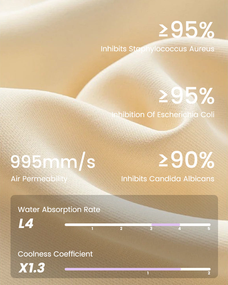 Smooth High-Waisted Sheer Lace Sculpting Brief (4 Pack) SheCurve