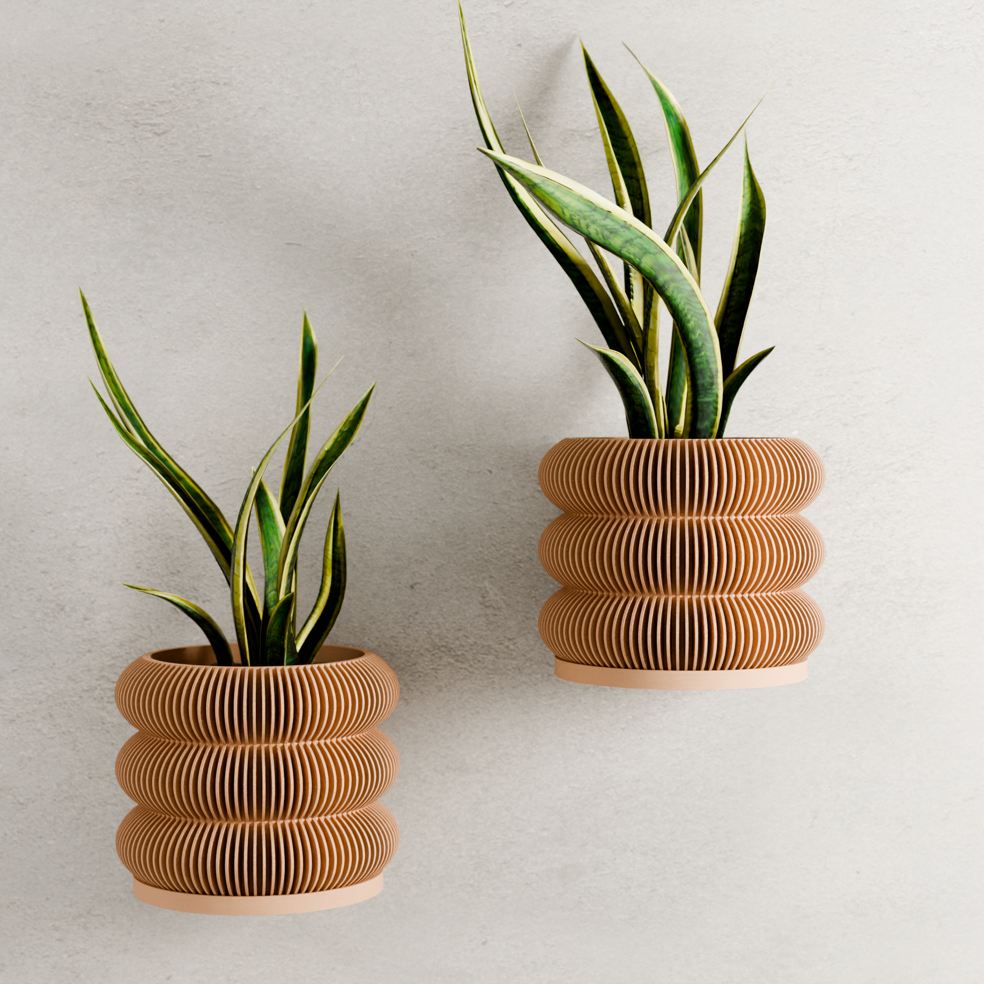 Wall Planter - Triple BUBBLES