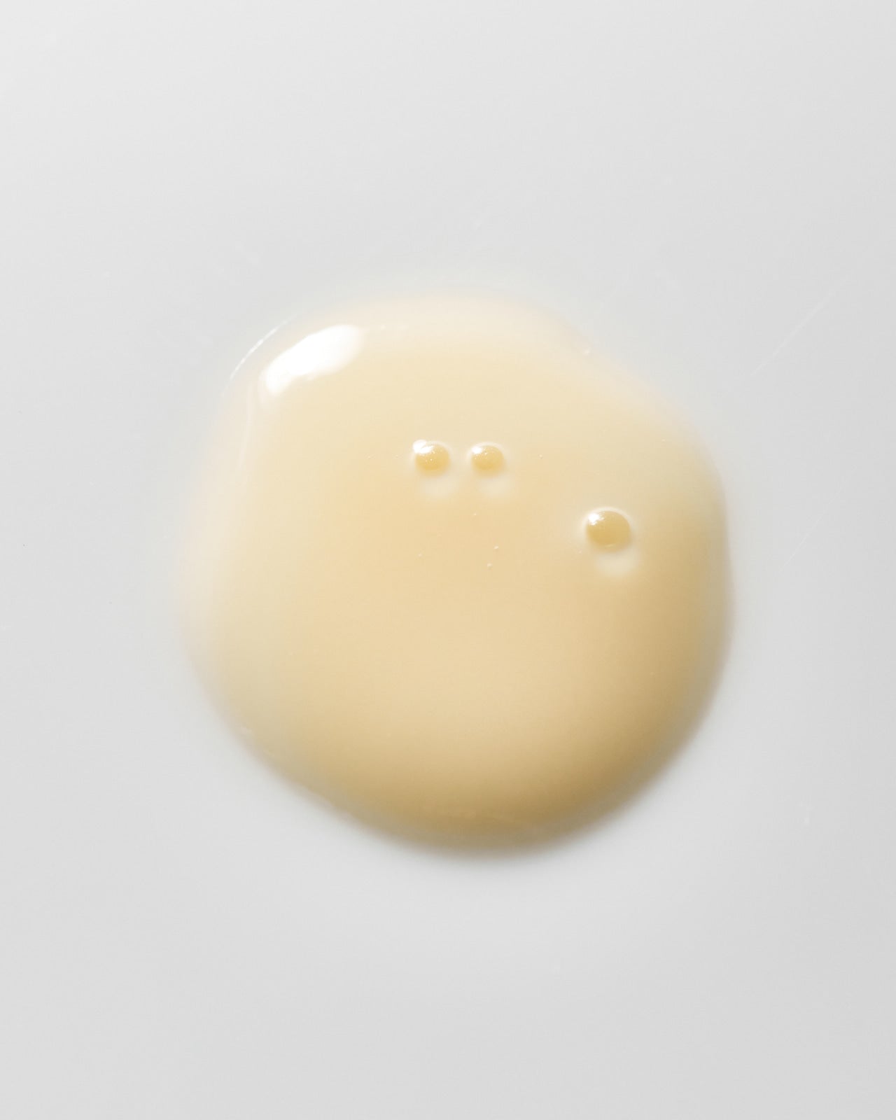 PROC.A.R.E. Young Goose