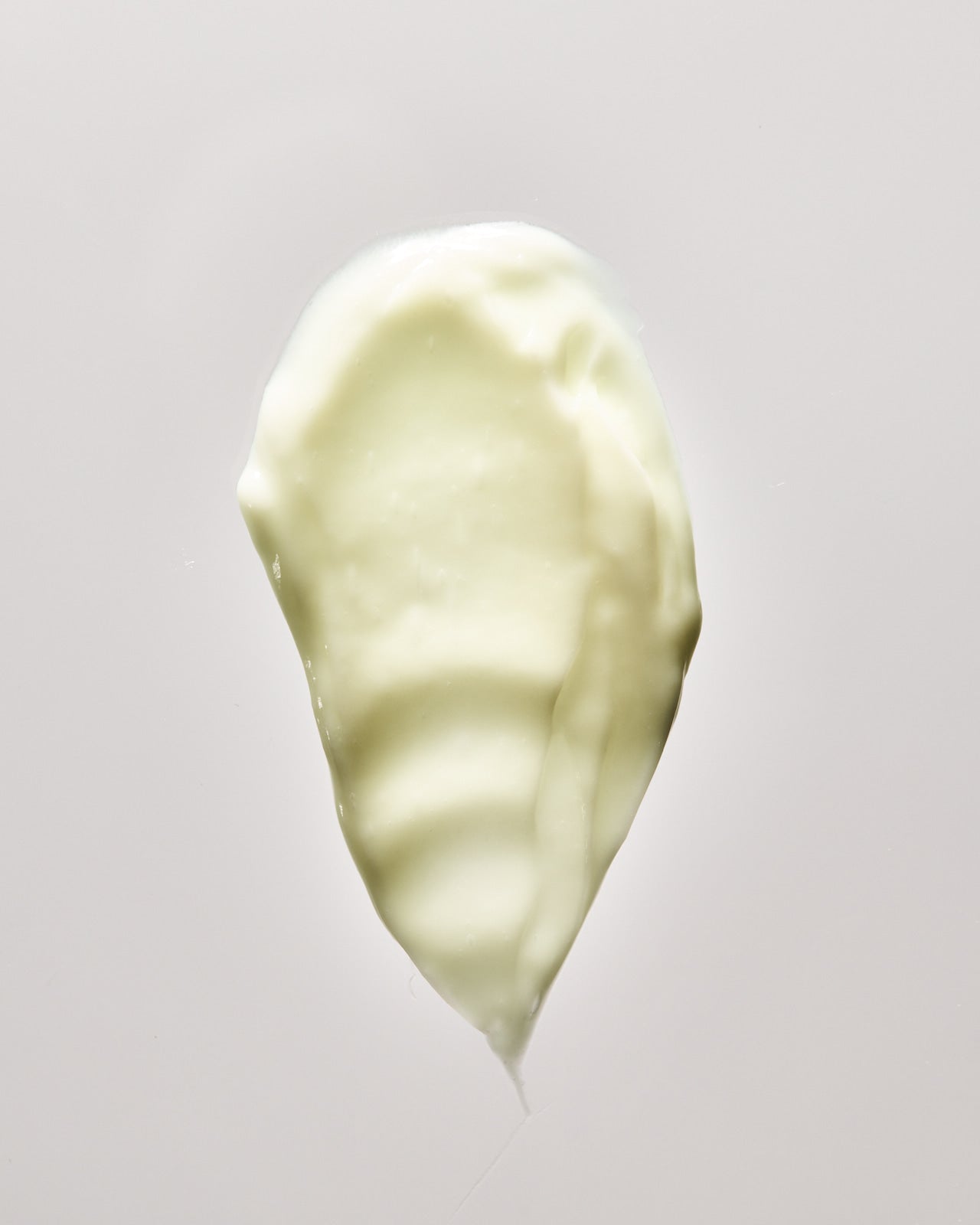 C.A.R.E. Young Goose