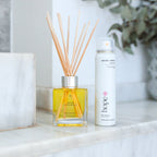 Aroma Set | Doctor Aromas