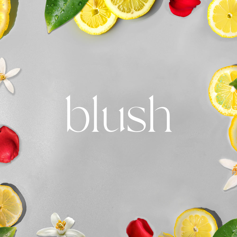 A/C Scenting System Pro Kit | Blush Doctor Aromas