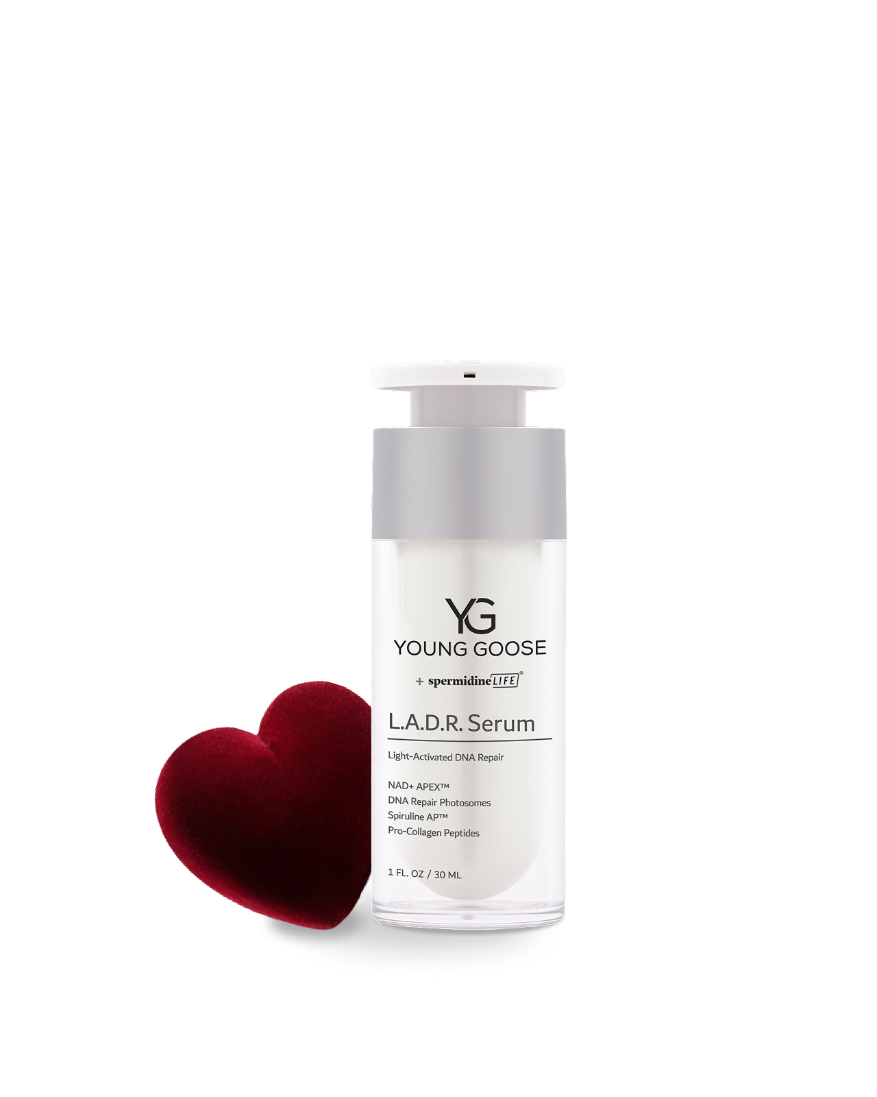 L.A.D.R. Young Goose