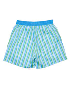 Men's Blue and Green Striped Swim Trunks-FINAL SALE Smockingbird
