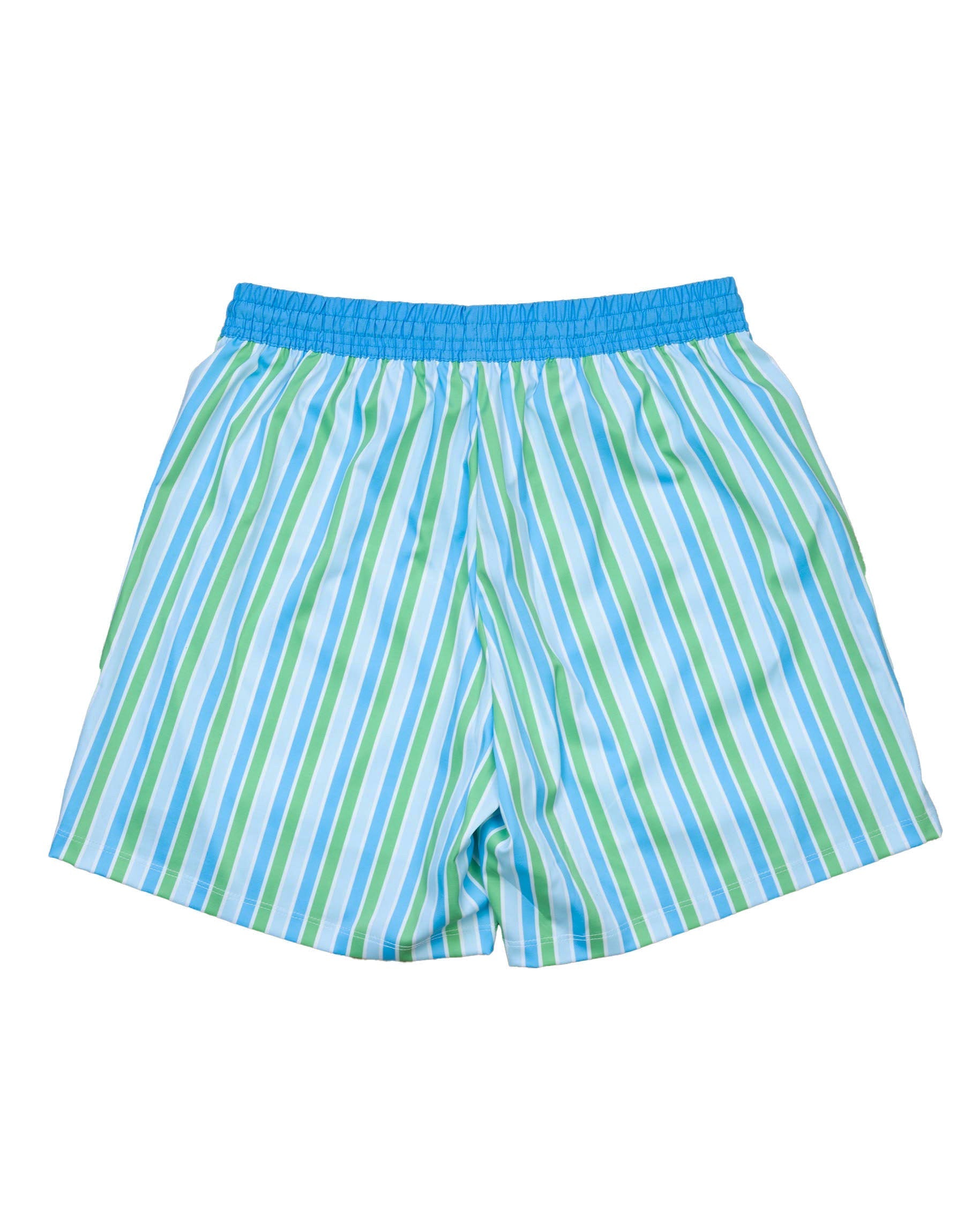 Men's Blue and Green Striped Swim Trunks-FINAL SALE Smockingbird