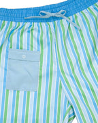Men's Blue and Green Striped Swim Trunks-FINAL SALE Smockingbird