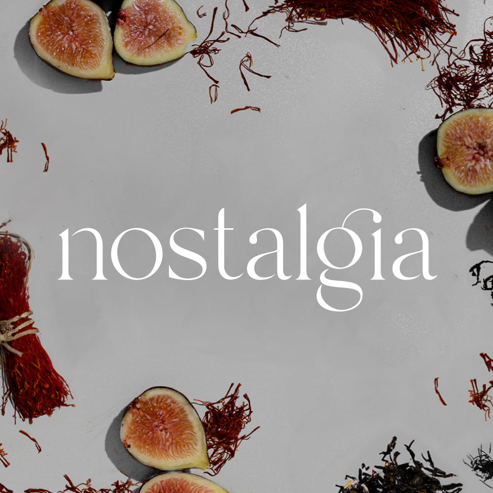 A/C Scenting System Pro Kit | Nostalgia Doctor Aromas